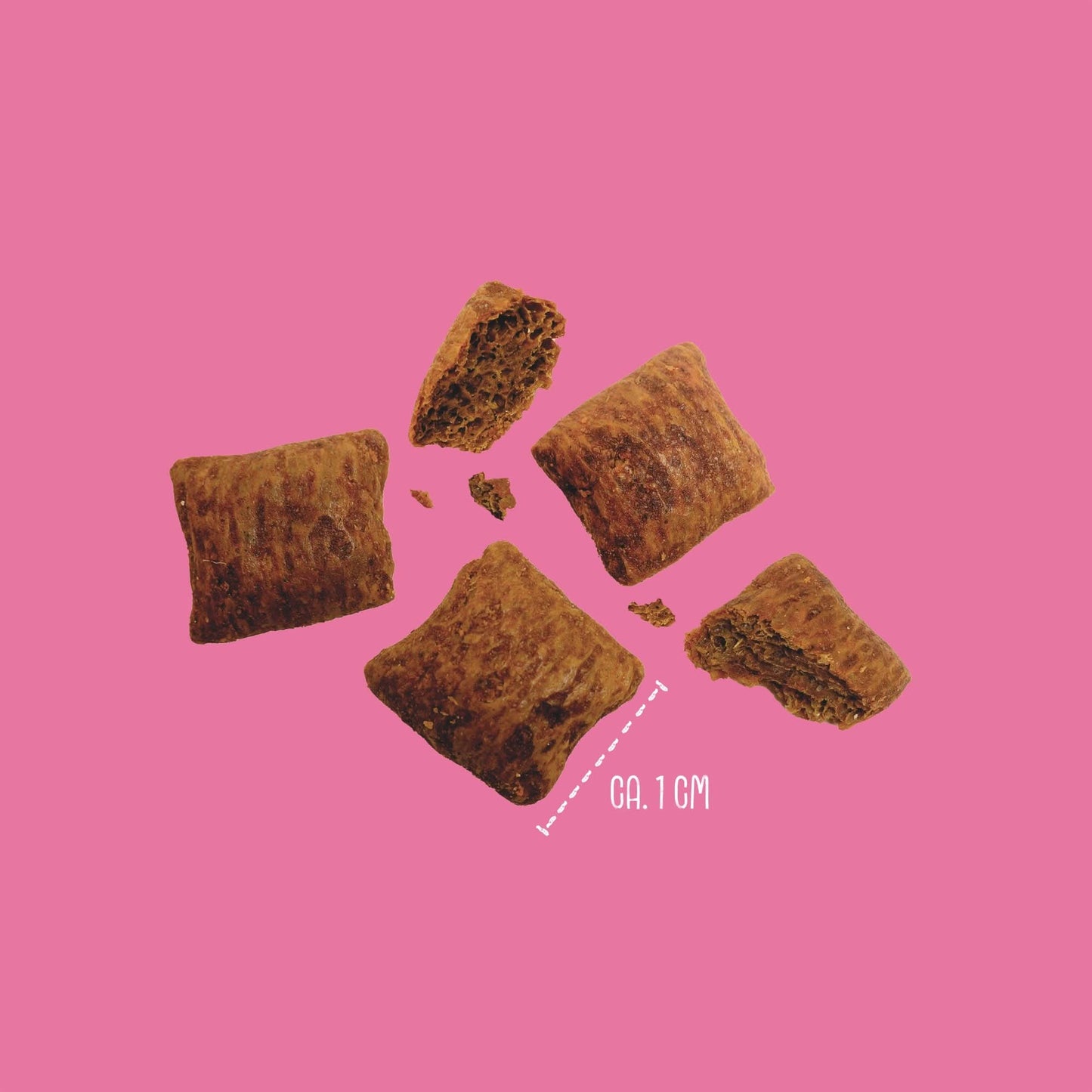 Vegdog Brainy bites valp 80 g