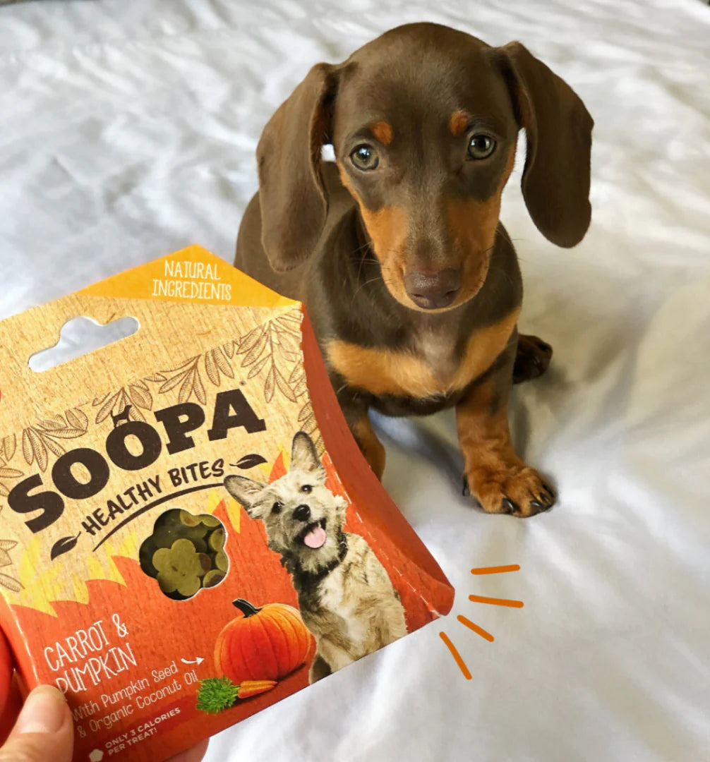 SOOPA gulrot & gresskar biter