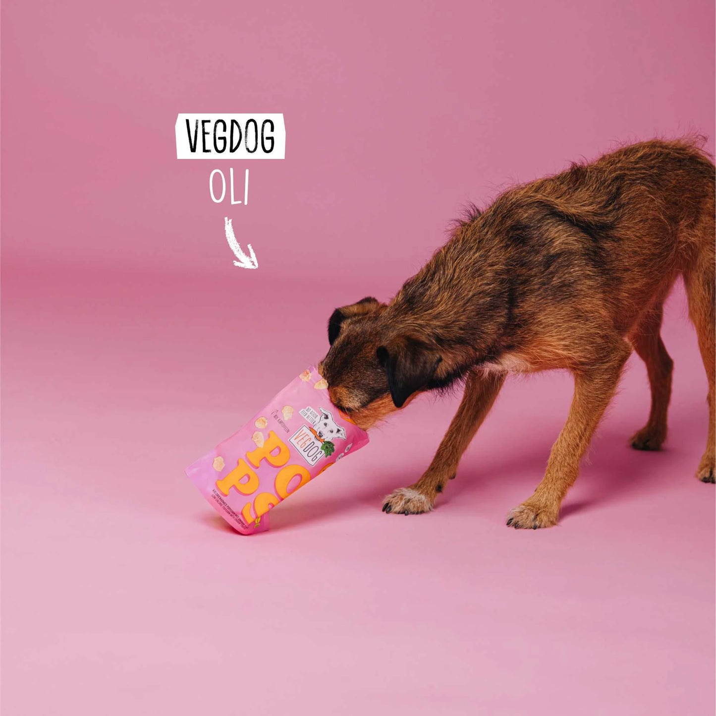 Vegdog POPS