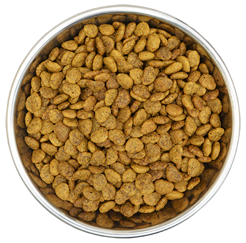 Benevo katt 10 kg