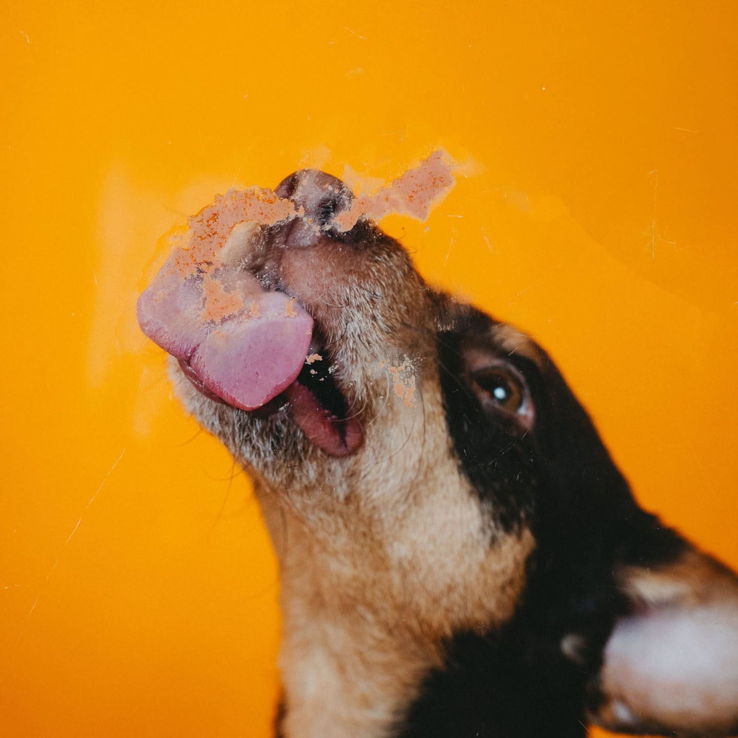 Vegdog Levervurst 75 g