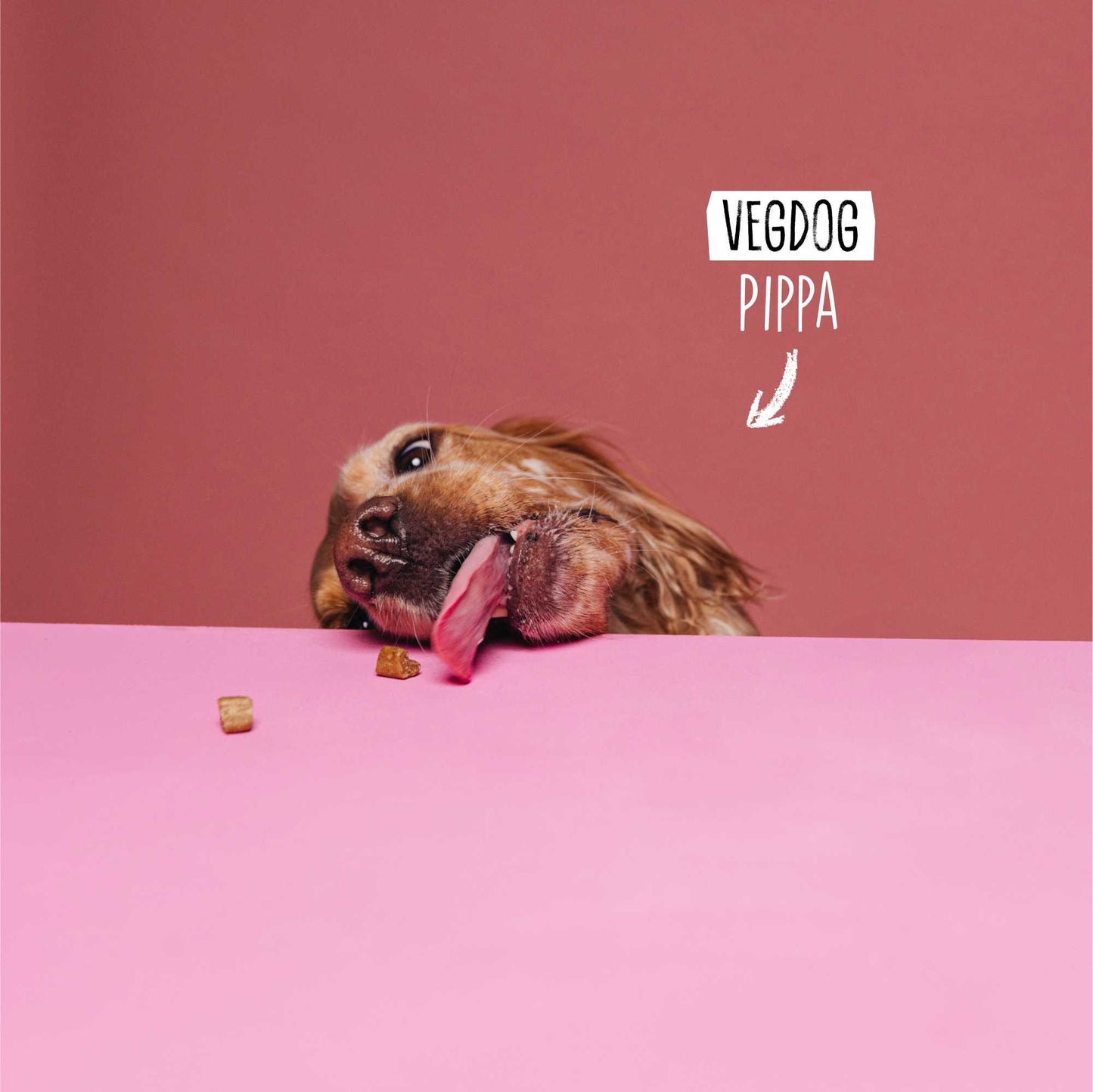 Vegdog Mobilitet MINIS 115 g