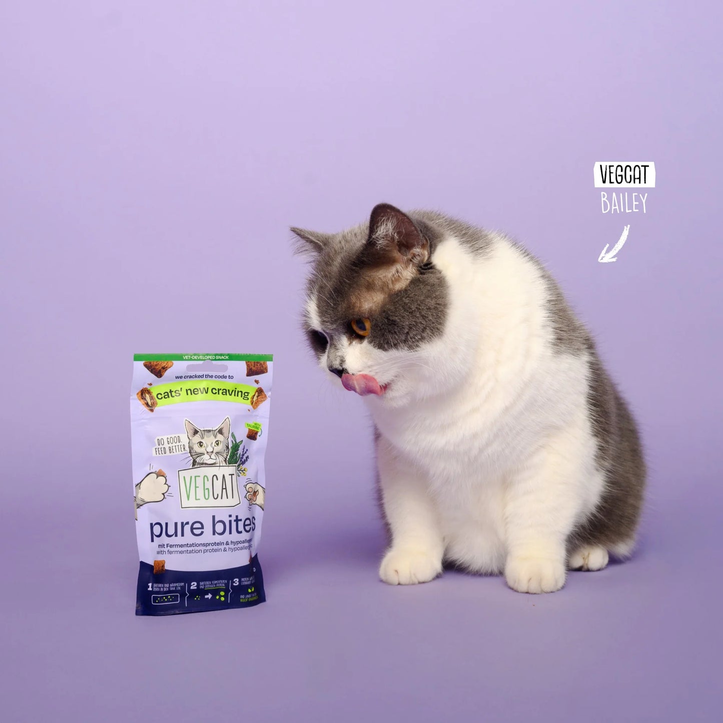 Vegcat pure bites 60 g