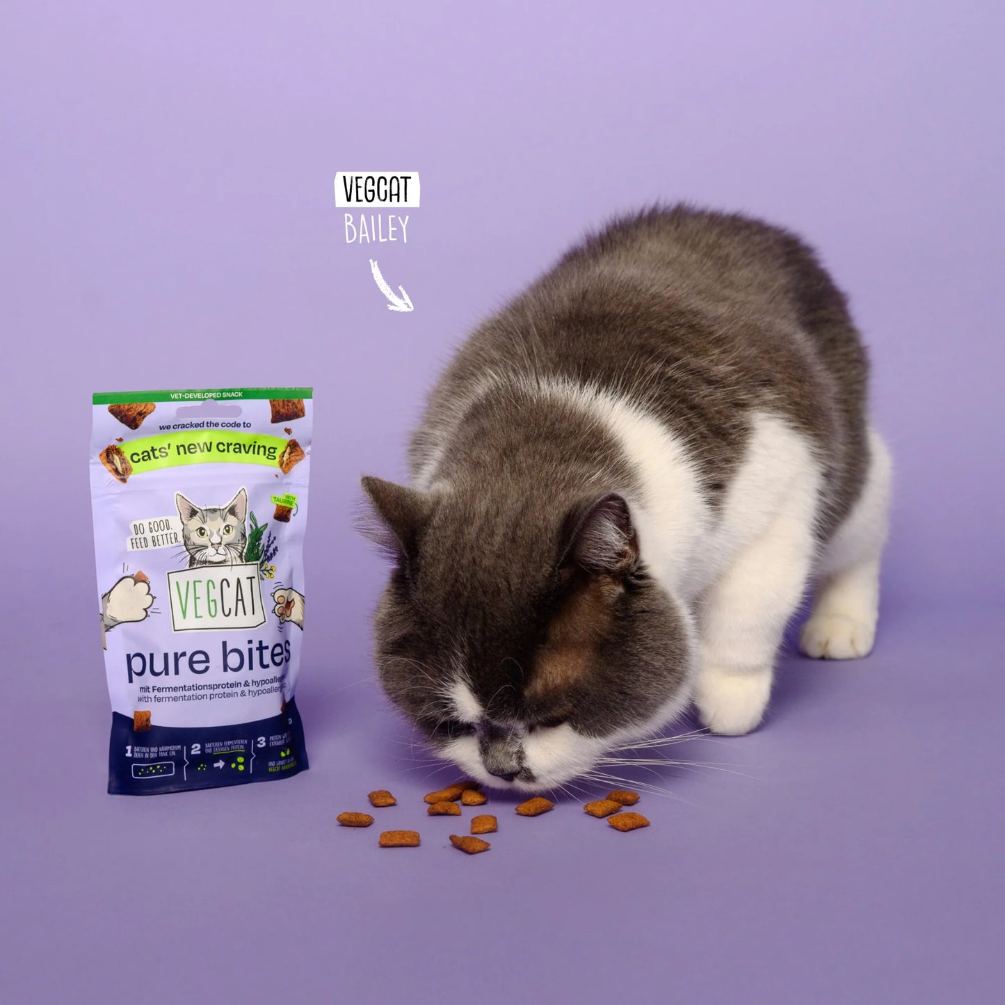 Vegcat pure bites 60 g