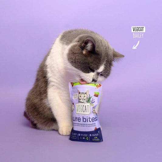 Vegcat pure bites 60 g
