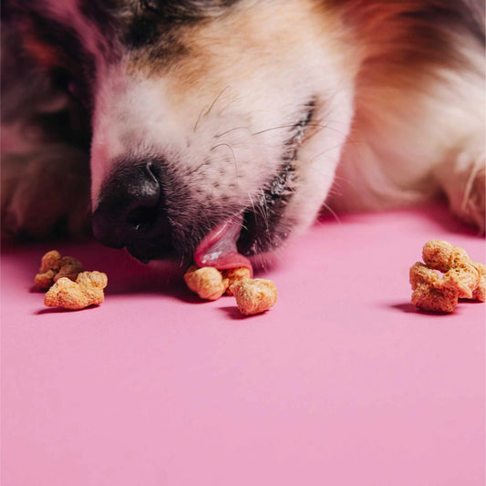 Vegdog POPS